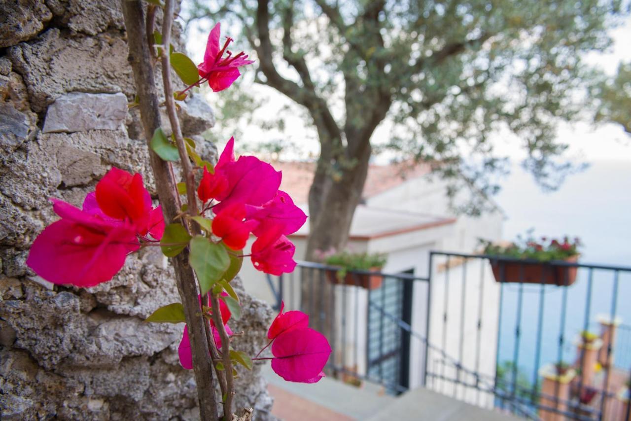 Bed and Breakfast Il Glicine Cetara Exterior foto