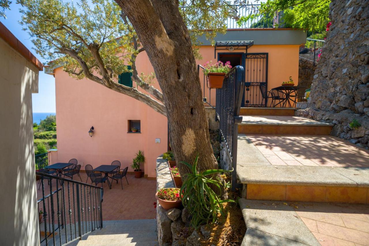 Bed and Breakfast Il Glicine Cetara Exterior foto